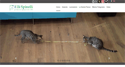 Desktop Screenshot of parquet.it