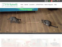 Tablet Screenshot of parquet.it